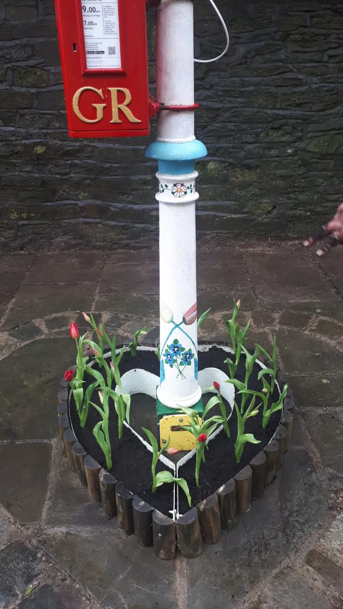 Planted with red tulips every Valentine's Day