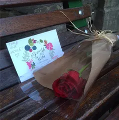 Red rose on the Valentine bench