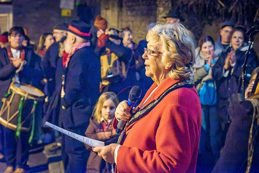 Town Mayor Anita Collier by Garfield Austin - Fabulous Frome